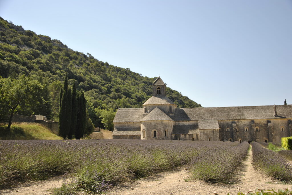 Francia-Provenza-Abbazia di Senanque-campi di lavanda
